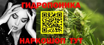 jwh Нальчик