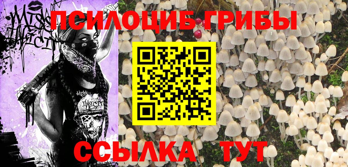Галлюциногенные грибы Cubensis Санкт-Петербург