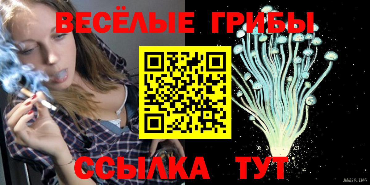 Санкт-Петербург  Псилоцибиновые грибы мицелий  Вход с VPN  Псилоцибиновые грибы ЛСД 